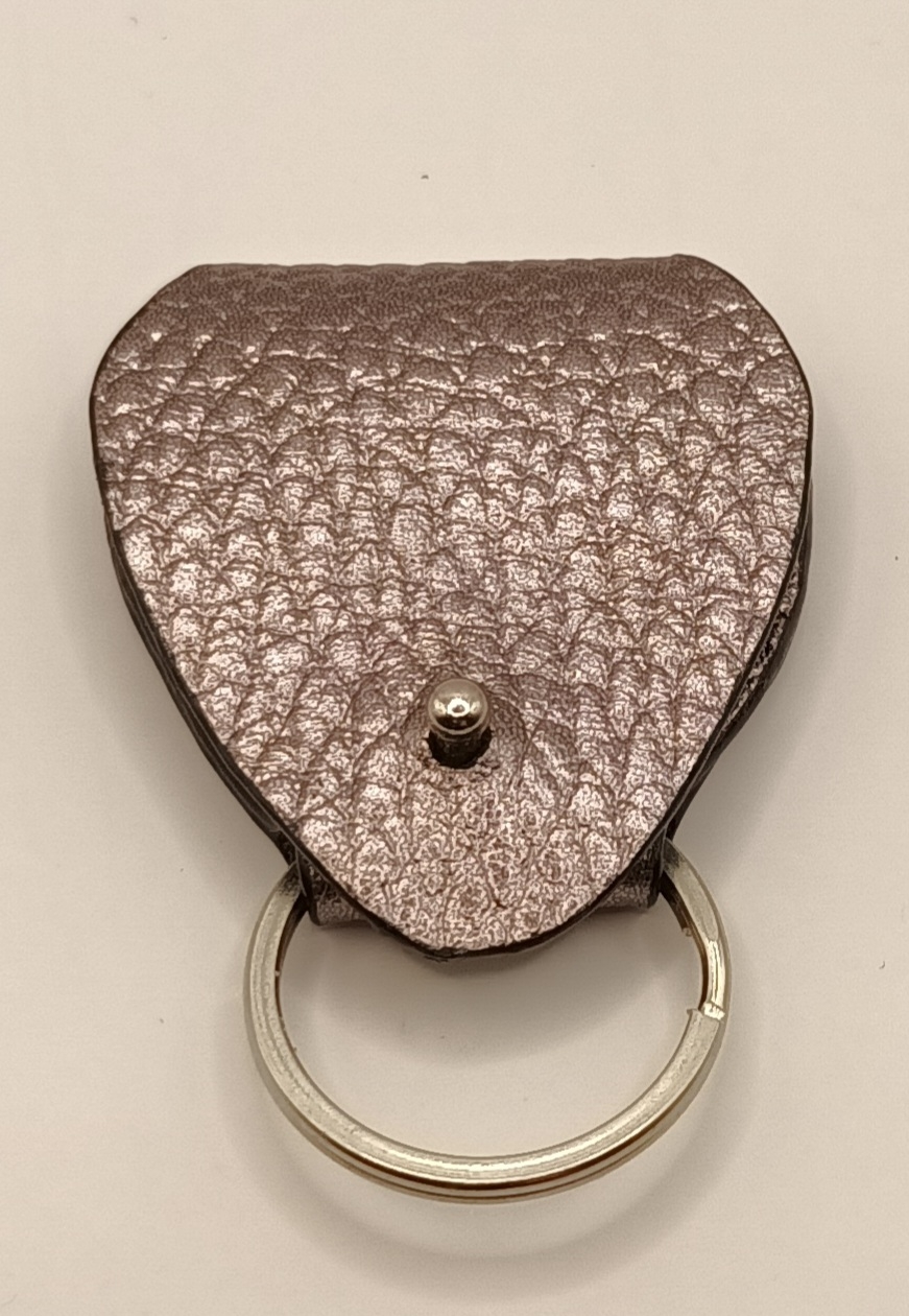 Étuis à médiator argenté bronze