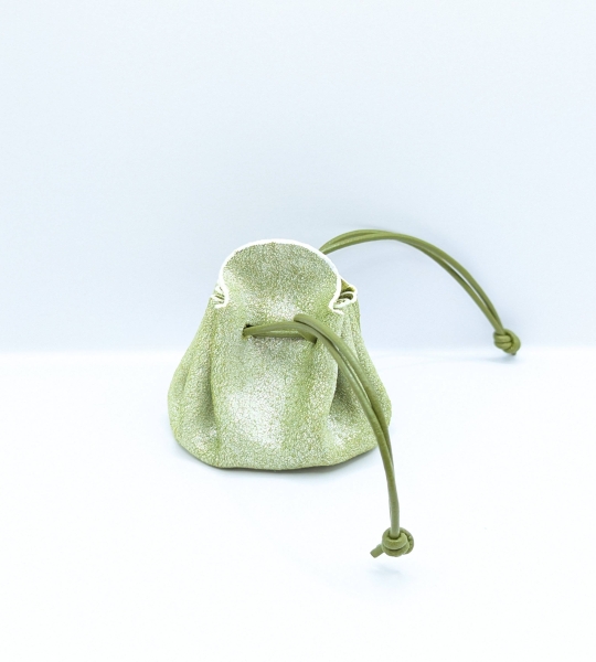Petite bourse Vert clair Pailleté
